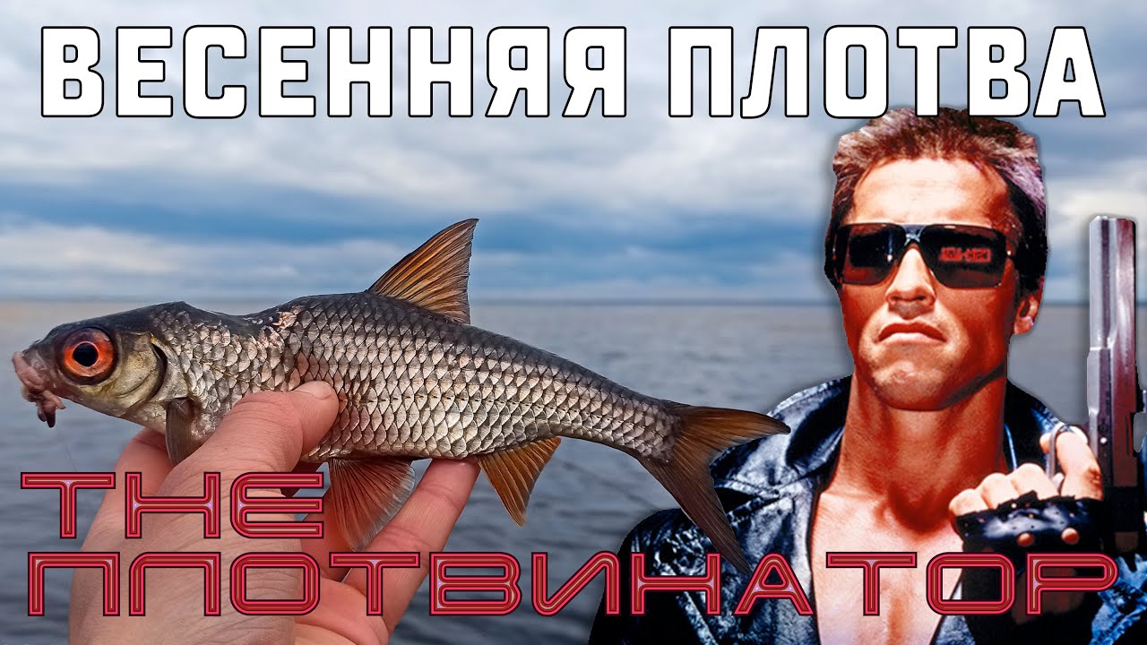 Ловля плотвы. Рыбалка на поплавок. Весенняя плотва. Рыбалка на Ладоге. Открытие летнего сезона