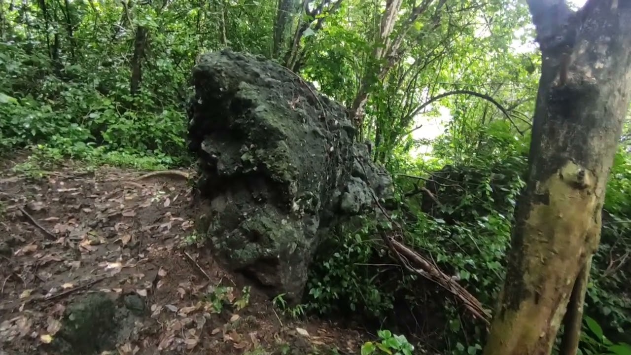 Merinding Masuk Dalam Hutan Di Jawa Timur Ketemu Orang Bertapa 