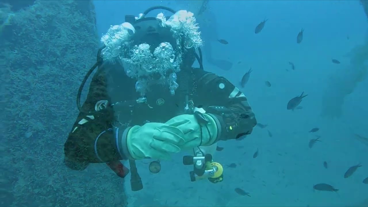 Gozo 2024 Full version 2