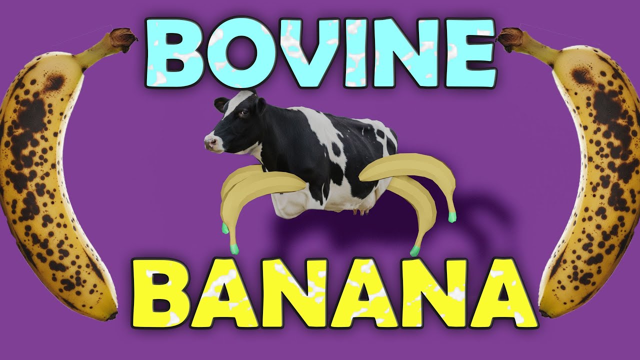 Bovine Banana