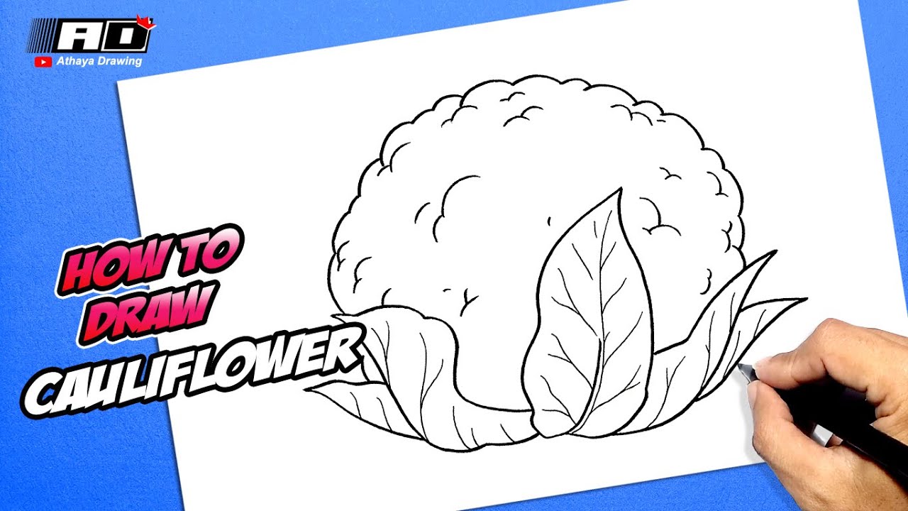 How to draw Cauliflower