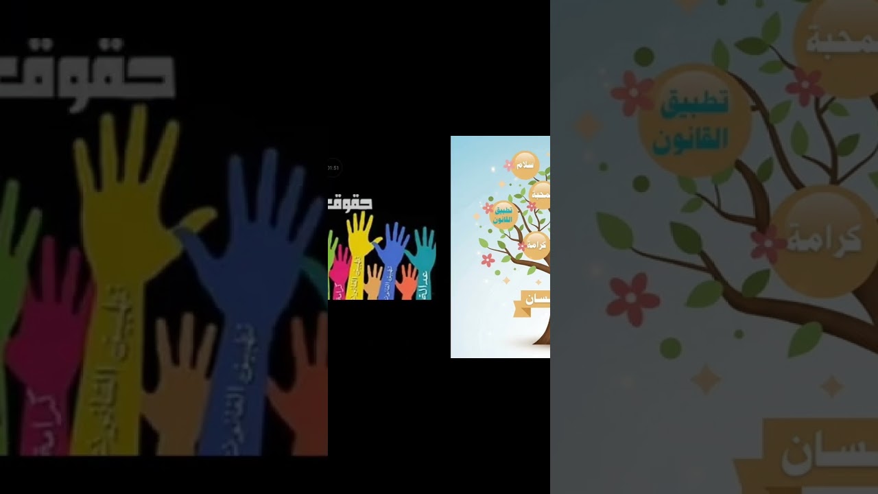 كلمة عن اليوم العالمي لحقوق الانسان