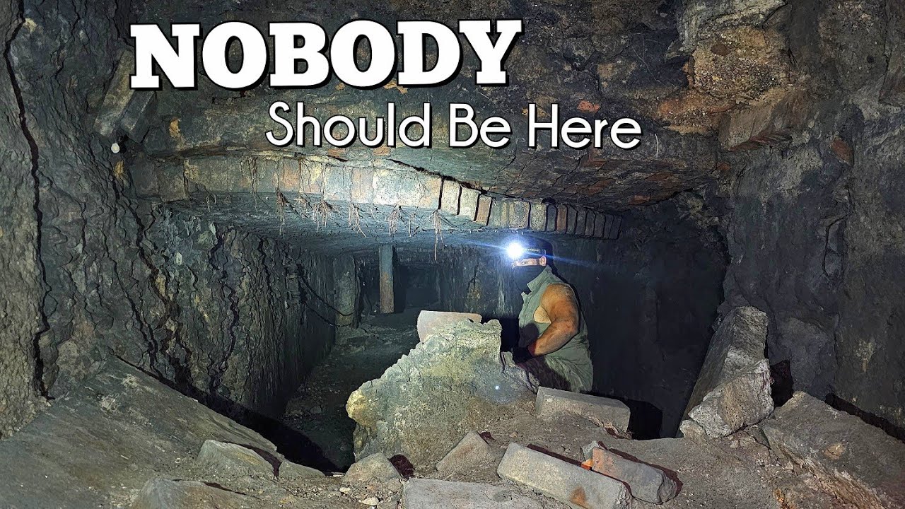 Highly Unsettling Passage Concealed in the Woods | Why Did We Crawl Inside?