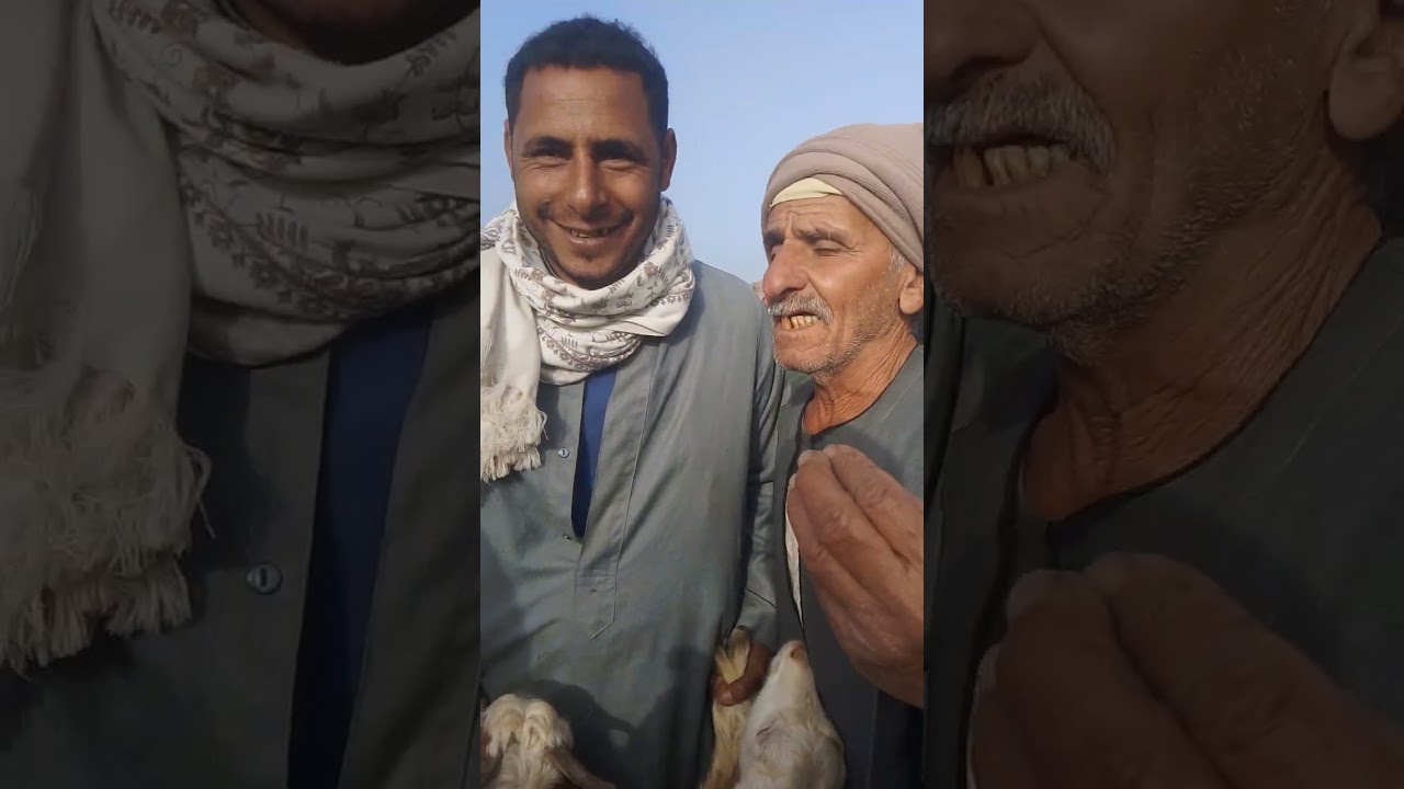 ٢ فبراير ٢٠٢٦