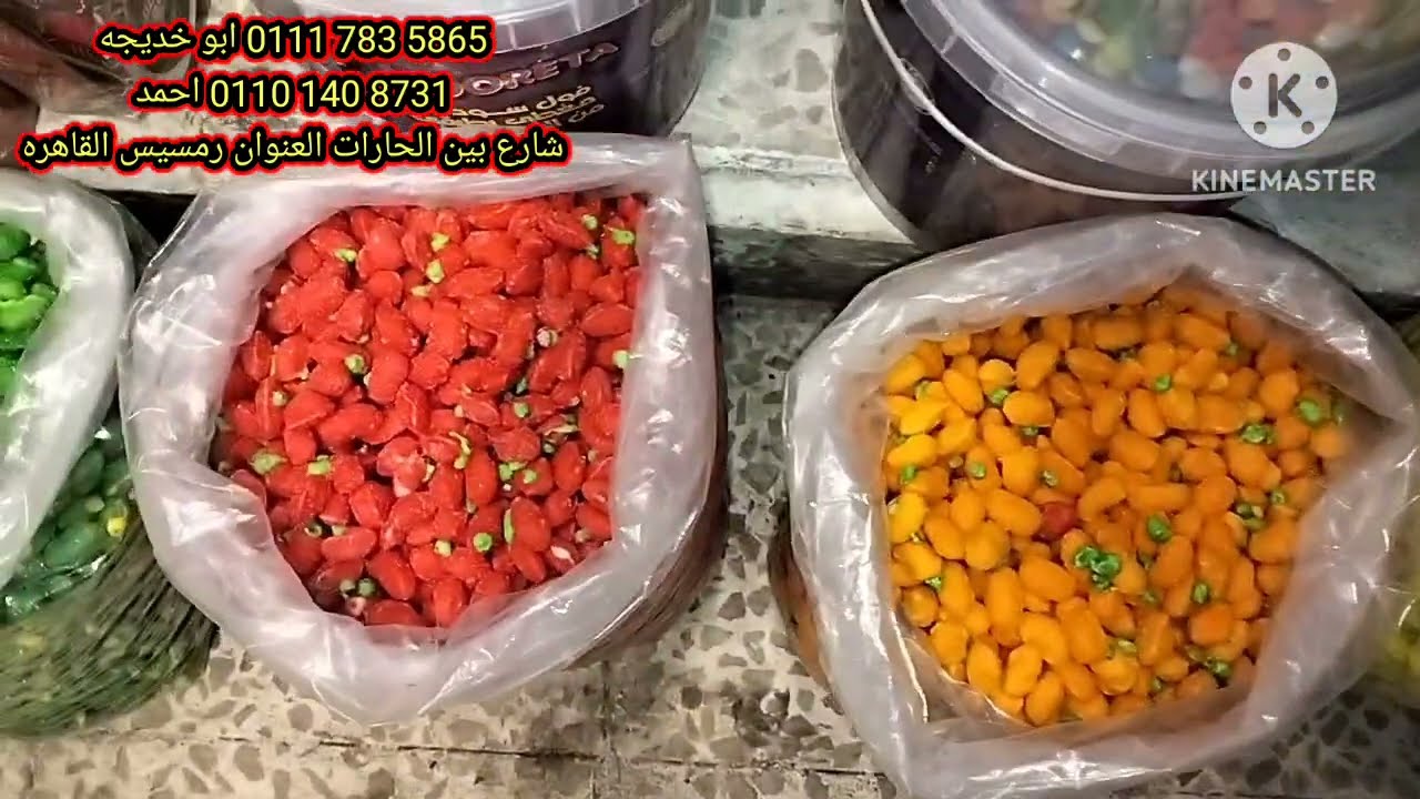 مشروع قنبلة اكسب مليون جنيه في سنه في شارع بين الحارات#shortsبينto