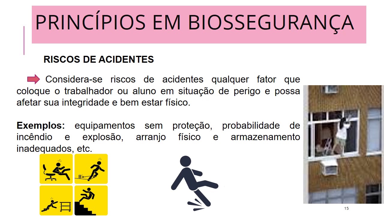 Princ&iacute;pios de Biosseguran&ccedil;a