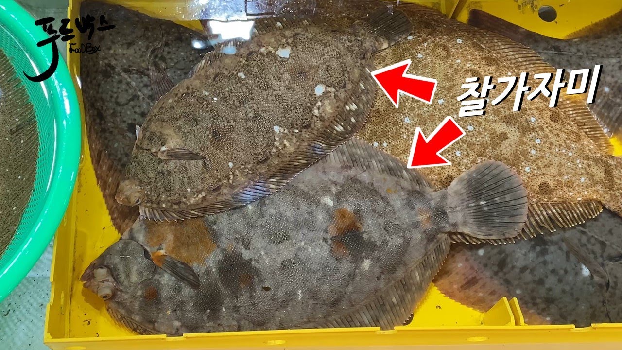 주문진에서  구입한 겨울철 찰가자미는 먹을만 할까요?