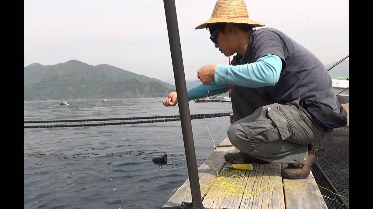 カンパチ養殖イケスの外側にカメラ落としてみた