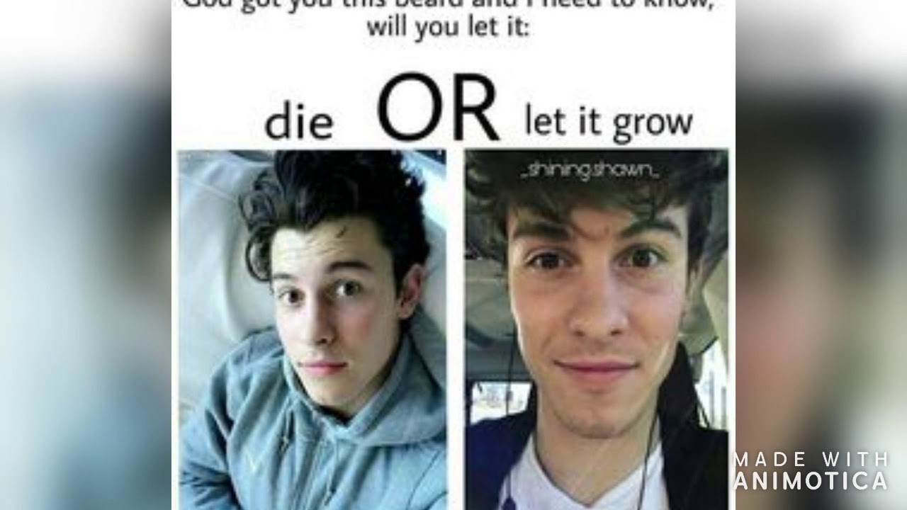shawn mendes memes that keep me alive *~ft. aesthetic music~*