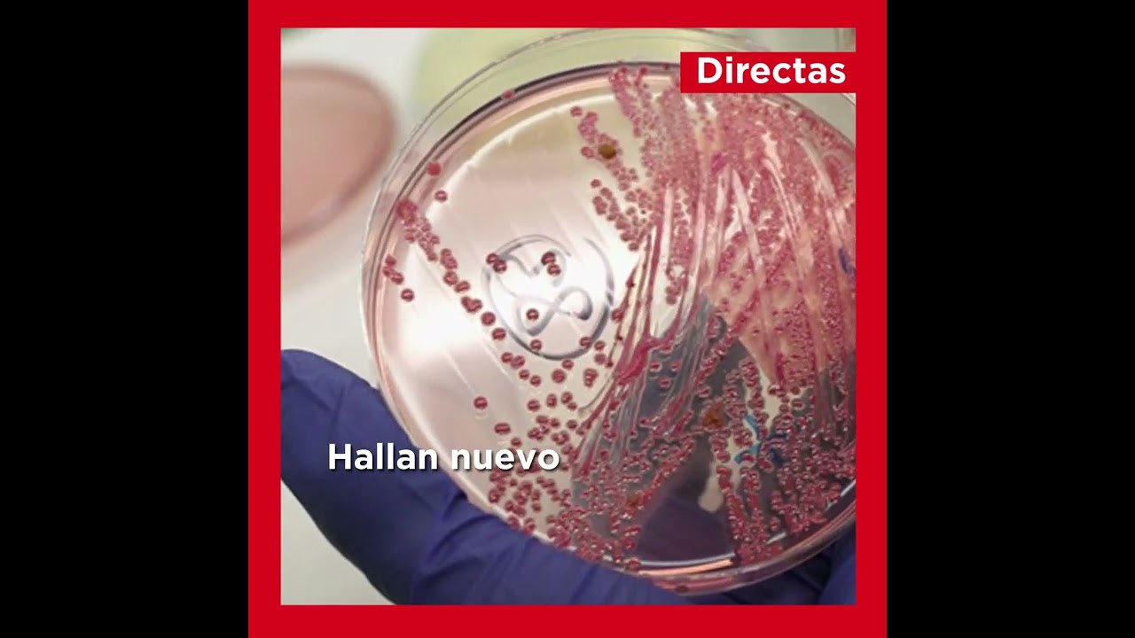 Directas​​​​​ | Noticias del 8 de noviembre en #Cuba