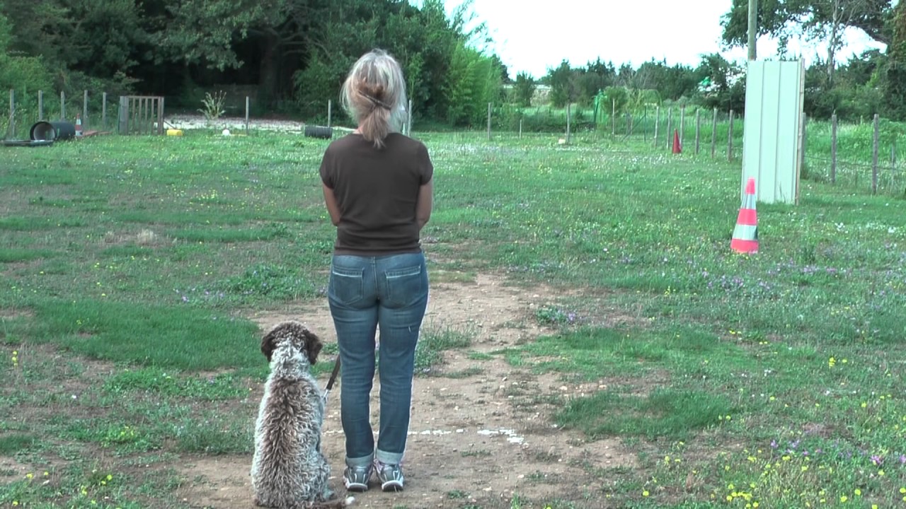 Cyno Passion Lagotto Romagnolo Cours privé pour IDA 30/07/2014
