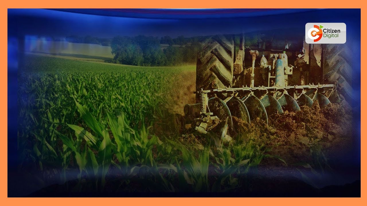 Nurturing Agricultural Innovations: CGIAR opens regional hub in Kenya