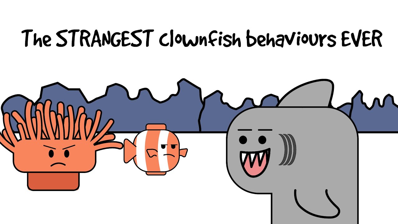 Life's Weird - Clownfish #oneminutesmarter