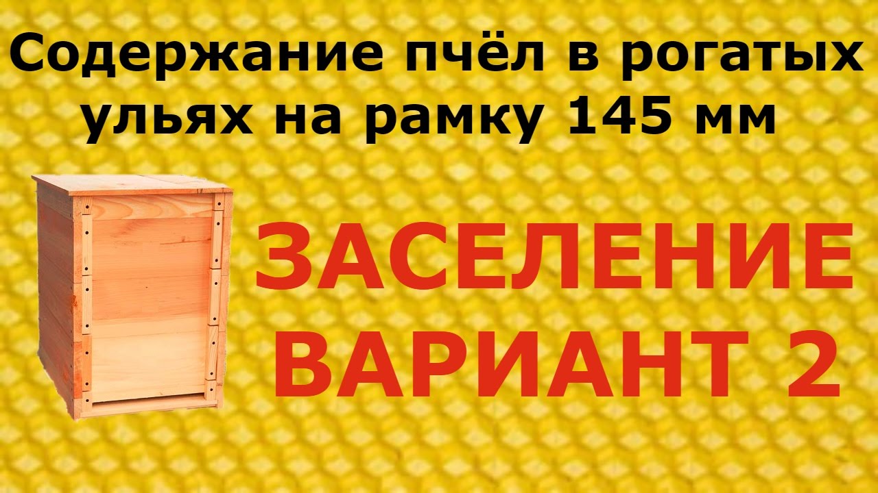 Заселяем рогатый улей вариант 2
