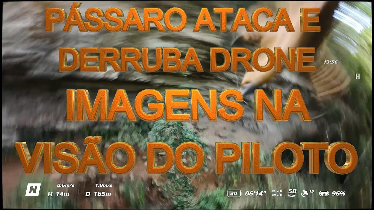 PÁSSARO ATACA E  DERRUBA DRONE IMAGENS NA VISÃO DO PILOTO