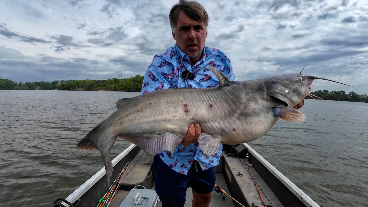 Spring Catfishing At Watts Bar Reservoir