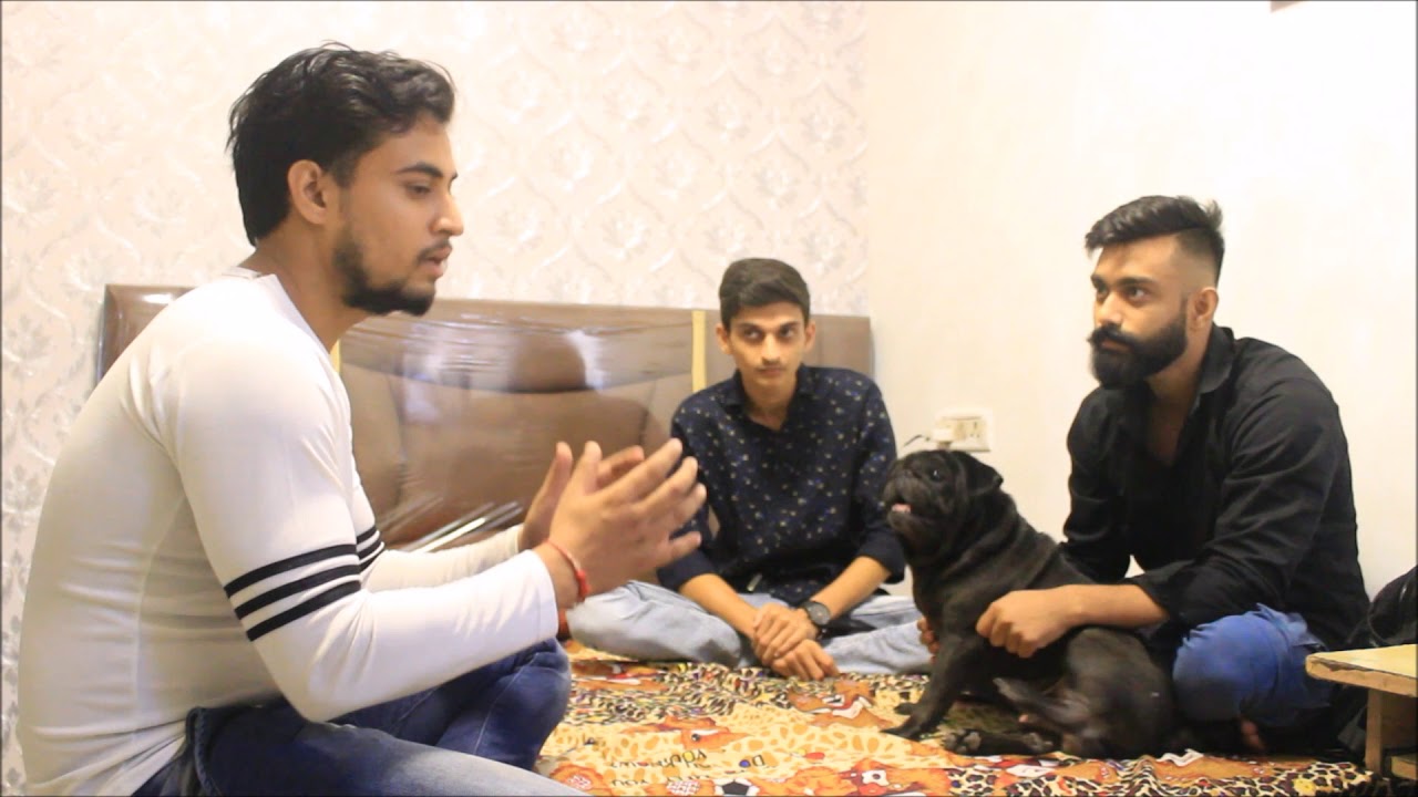 STREET DOG RESCUE TEAM | DELHI | KAZAAL GROUP