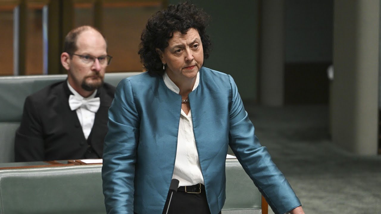 'Not at all confident': Monique Ryan weighs in on her Victorian seat of Kooyong