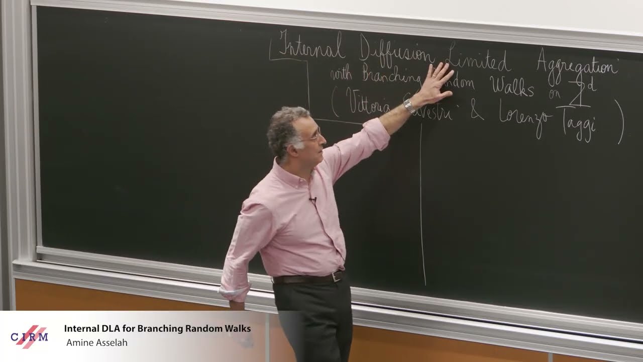 Amine Asselah: Internal DLA for Branching Random Walks