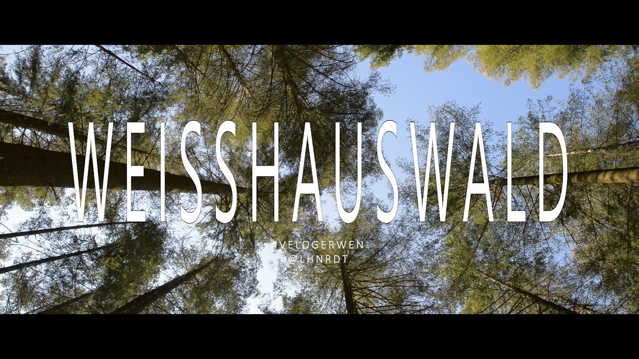 RAW: Downhill Weißhauswald Trier 2020