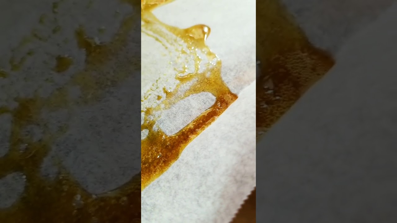 The Smoke Session(rosin globs)