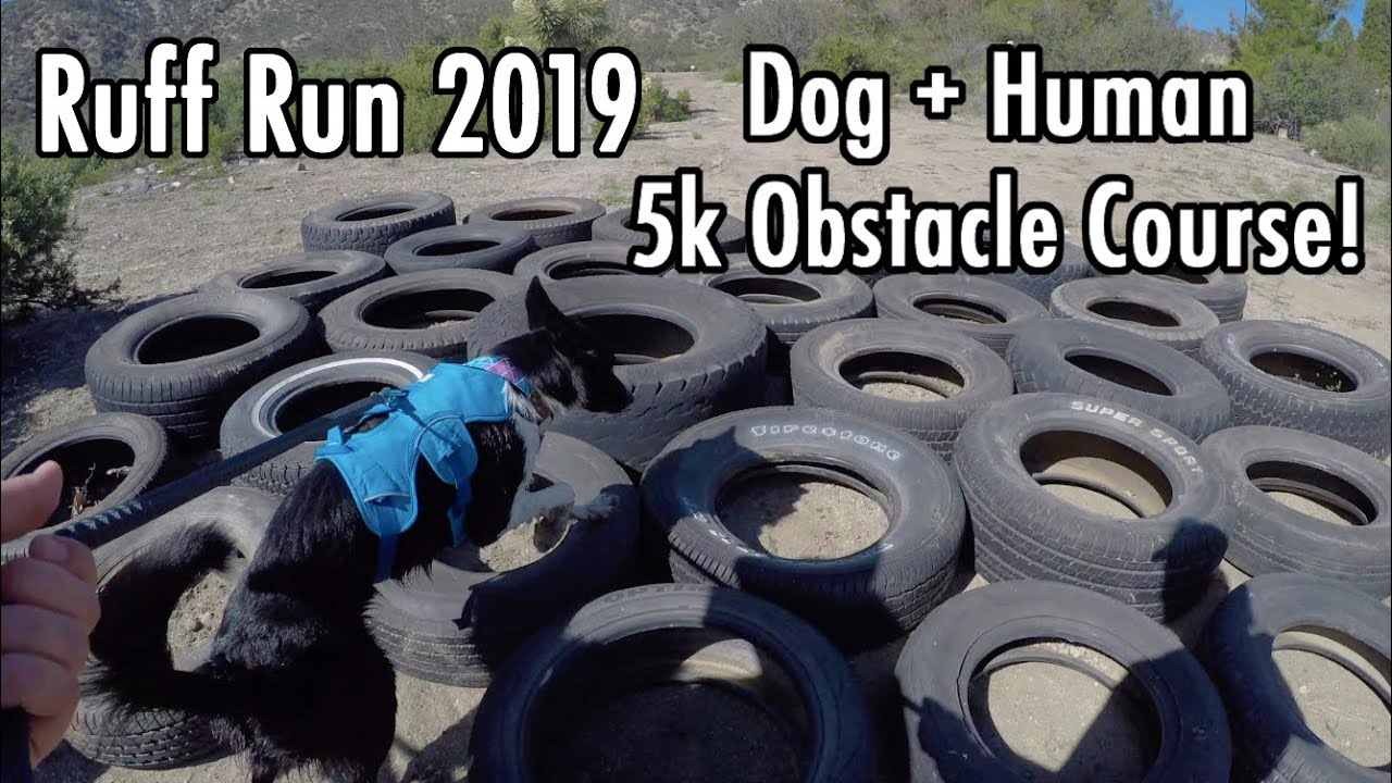 Human & Dog 5K Obstacle Course! Ruff Run 2019 with Sora & Muse