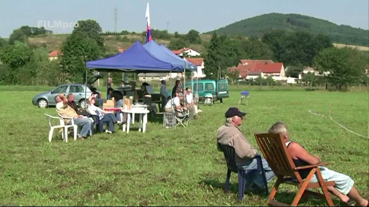 Akrobatičtí holubi 2013
