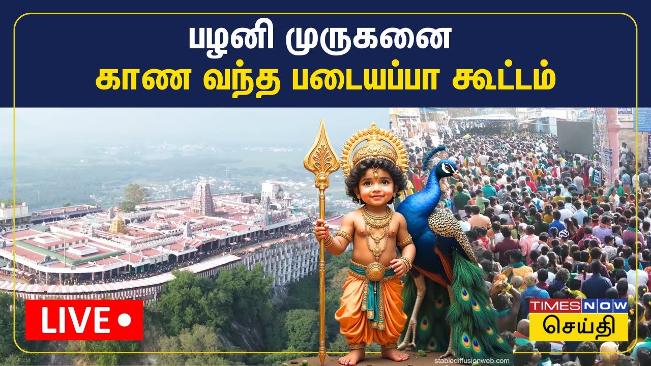 தைப்பூசம் 2025 | பழனி முருகன் கோவிலில் நிரம்பி வழியும் கூட்டம் | Palani Murugan | Thaipusam 2025