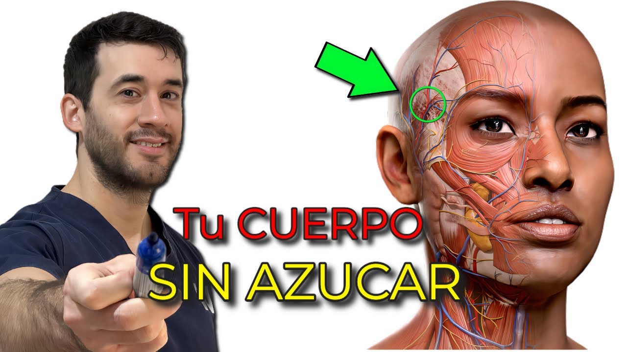 14 DÍAS sin AZÚCAR para SANAR tu CUERPO (COMO DEJARLA)