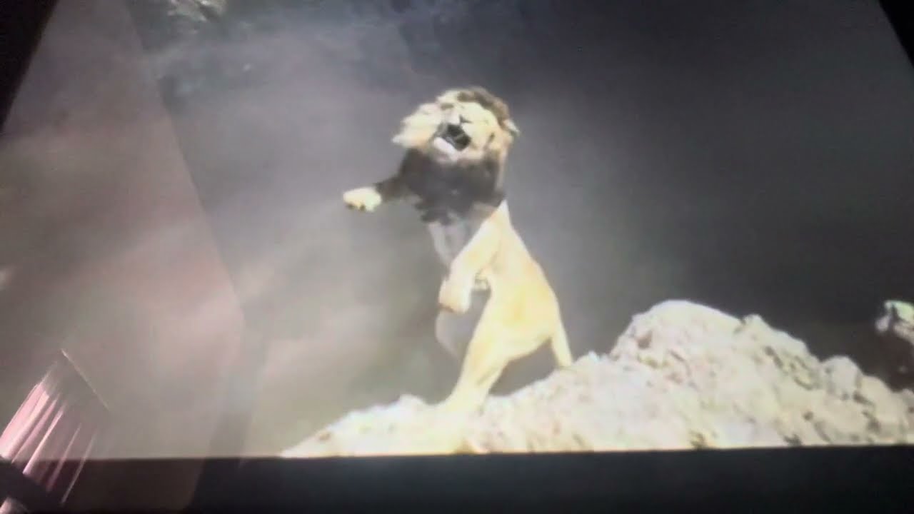 Mufasa's death (Brazilian Portuguese)