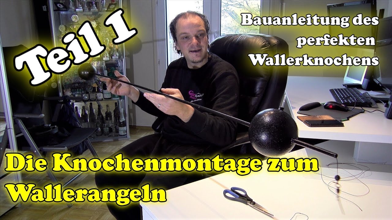 Knochenmontage zum Wallerangeln - Bauanleitung eines Wallerknochens