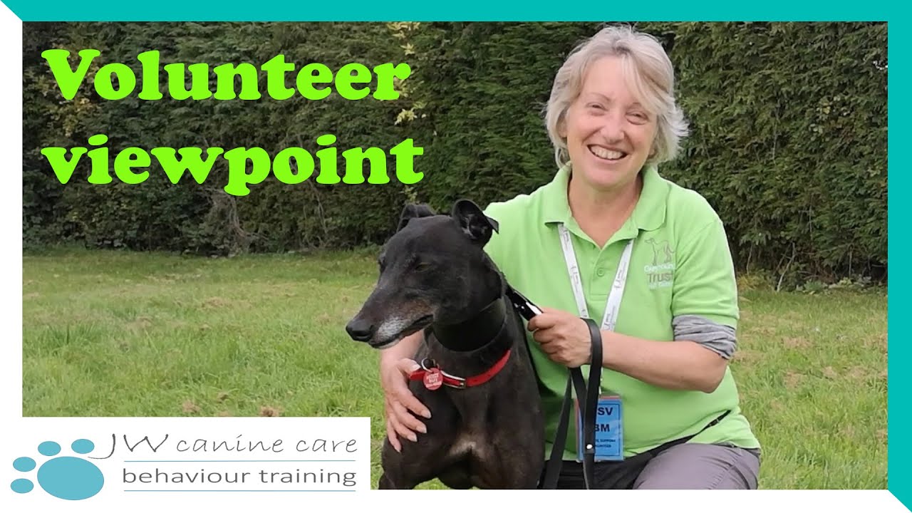 In conversation with...Volunteers at Greyhound Trust Hall Green