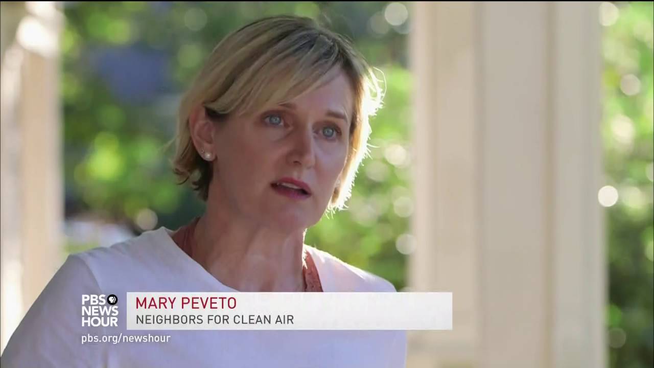 How moss revealed an undetected air pollution threat in Portland