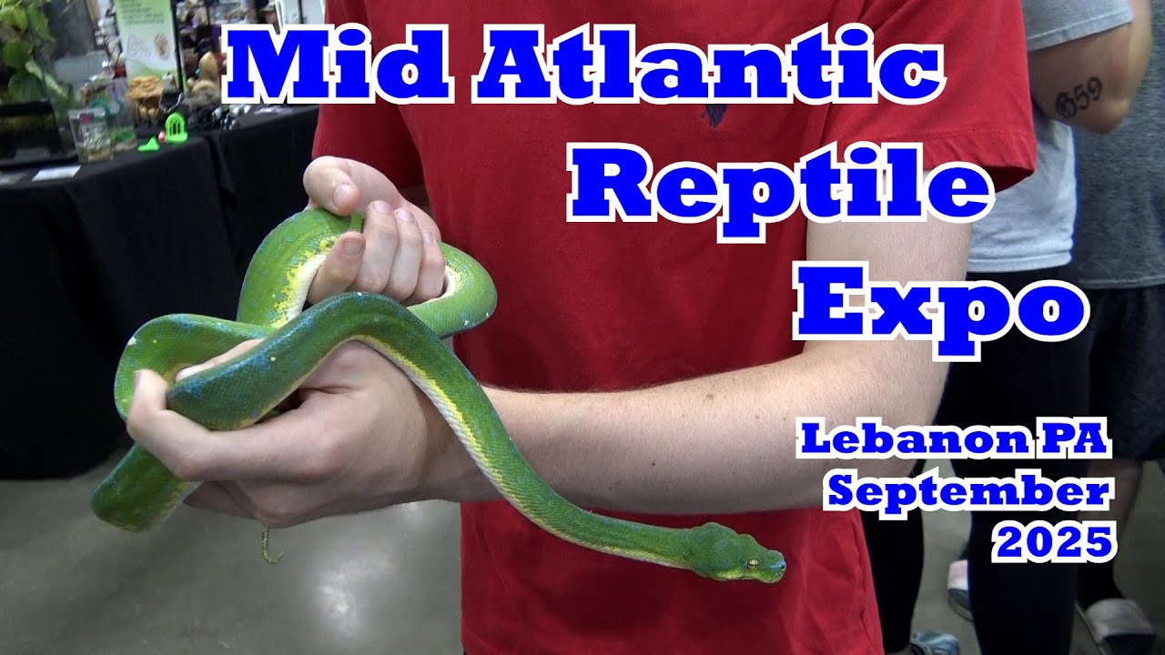Mid Atlantic Reptile Expo Lebanon PA September 2025
