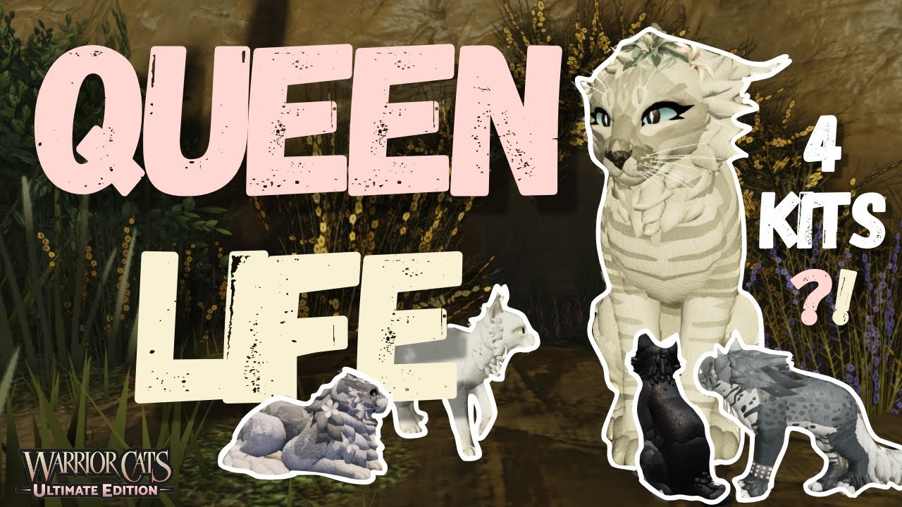 Day in the Life of a Queen...with 4 Kits?! /WCUE RP
