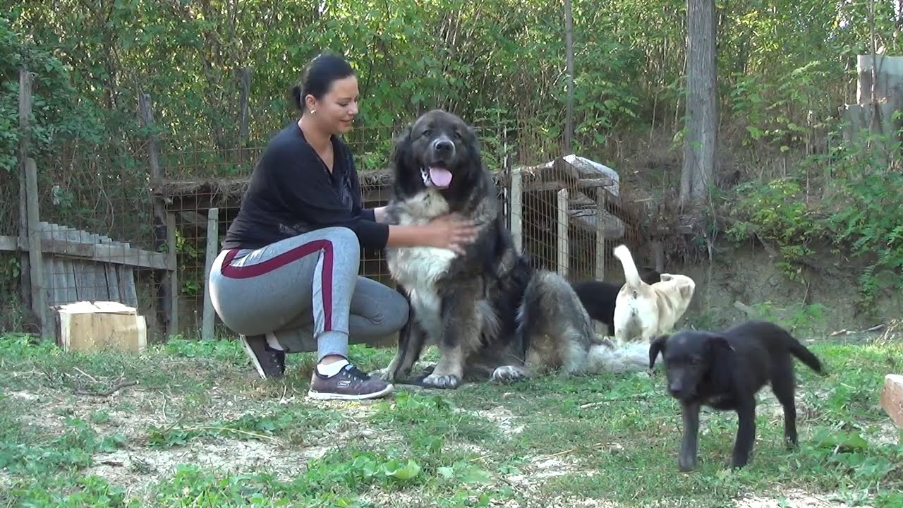 PREGATIREA TERENULUI DE LUCRU ( Rampa de urcat) episodul 38