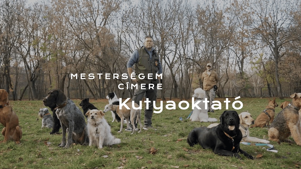 Megtaláltam magam a kutyázásban | Mesterségem címere #2