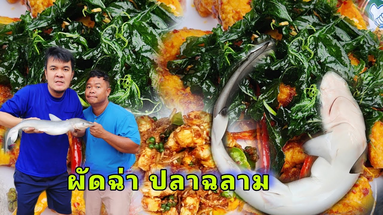 ผัดฉ่าปลาฉลามครั้งแรกในชีวิต(แบบทำเอง)