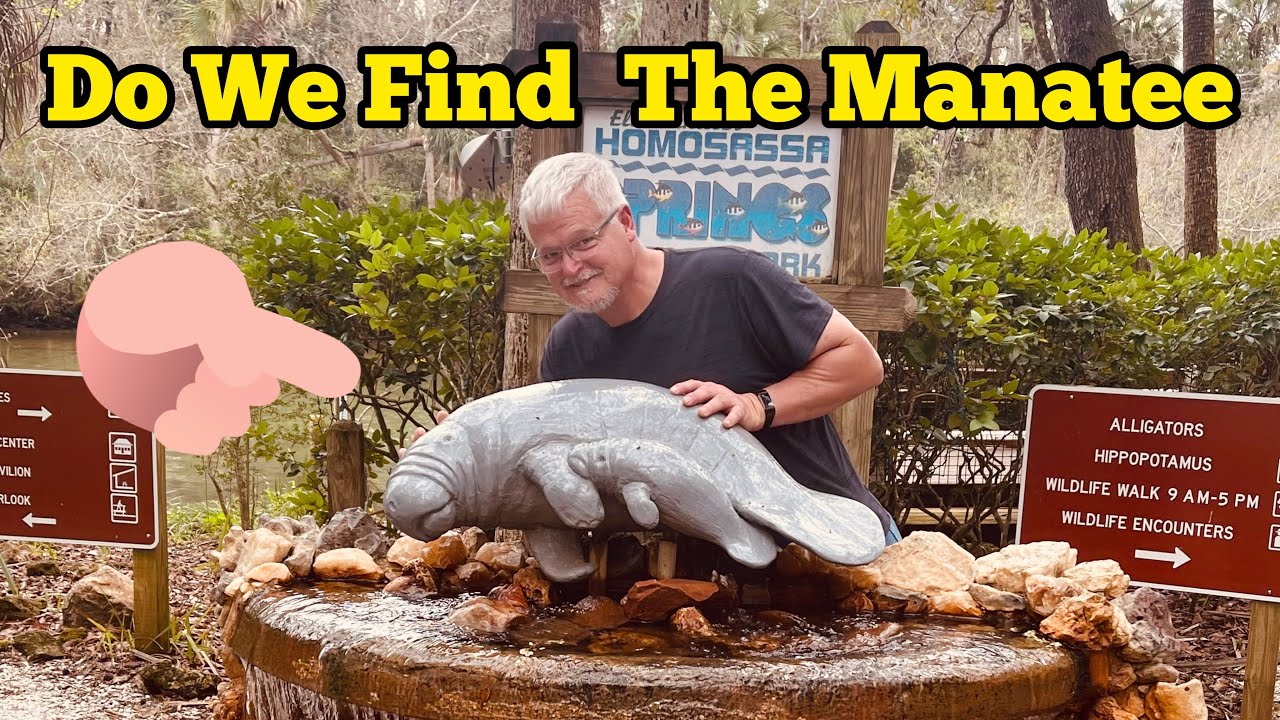 Come Along With Us On The Look Out For Manatee In Florida At Homosassa Springs Wildlife State Park