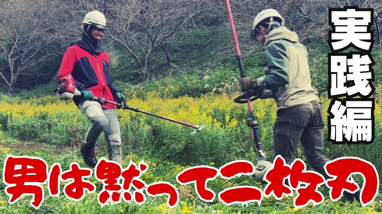 【男は黙って二枚刃】秋の草刈り。黄色い花がバサバサ倒れる爽快作業をお見せします。