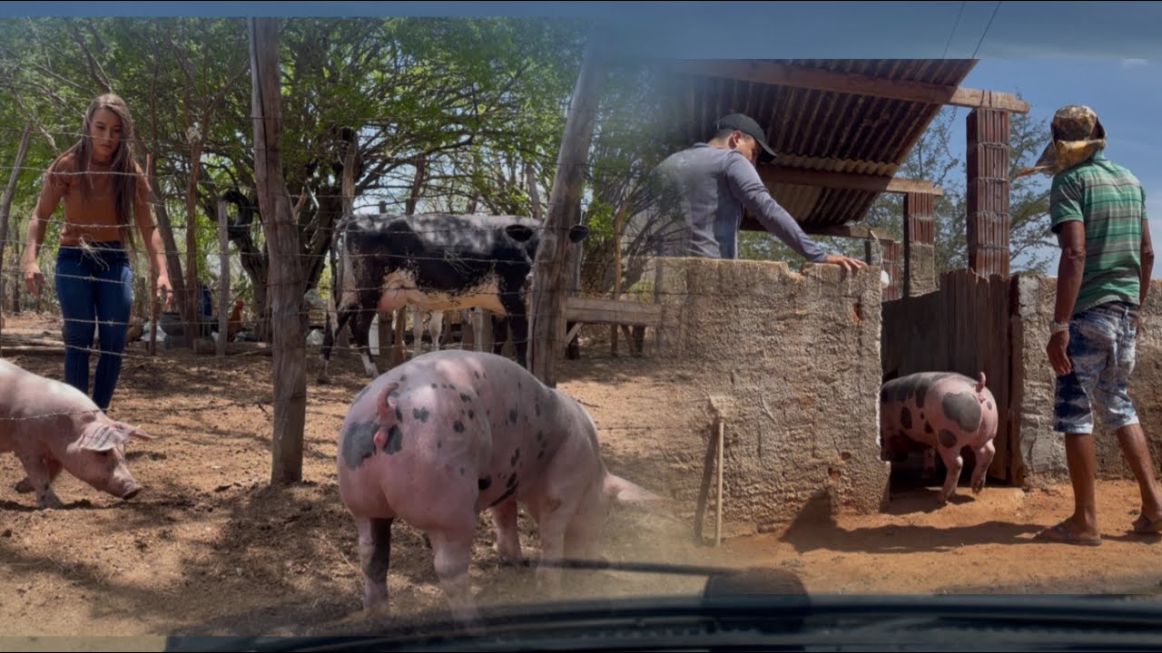 Dia de entrega para nosso amigo Helcio em São João do Cariri e para Sabrina em Monteiro PB.
