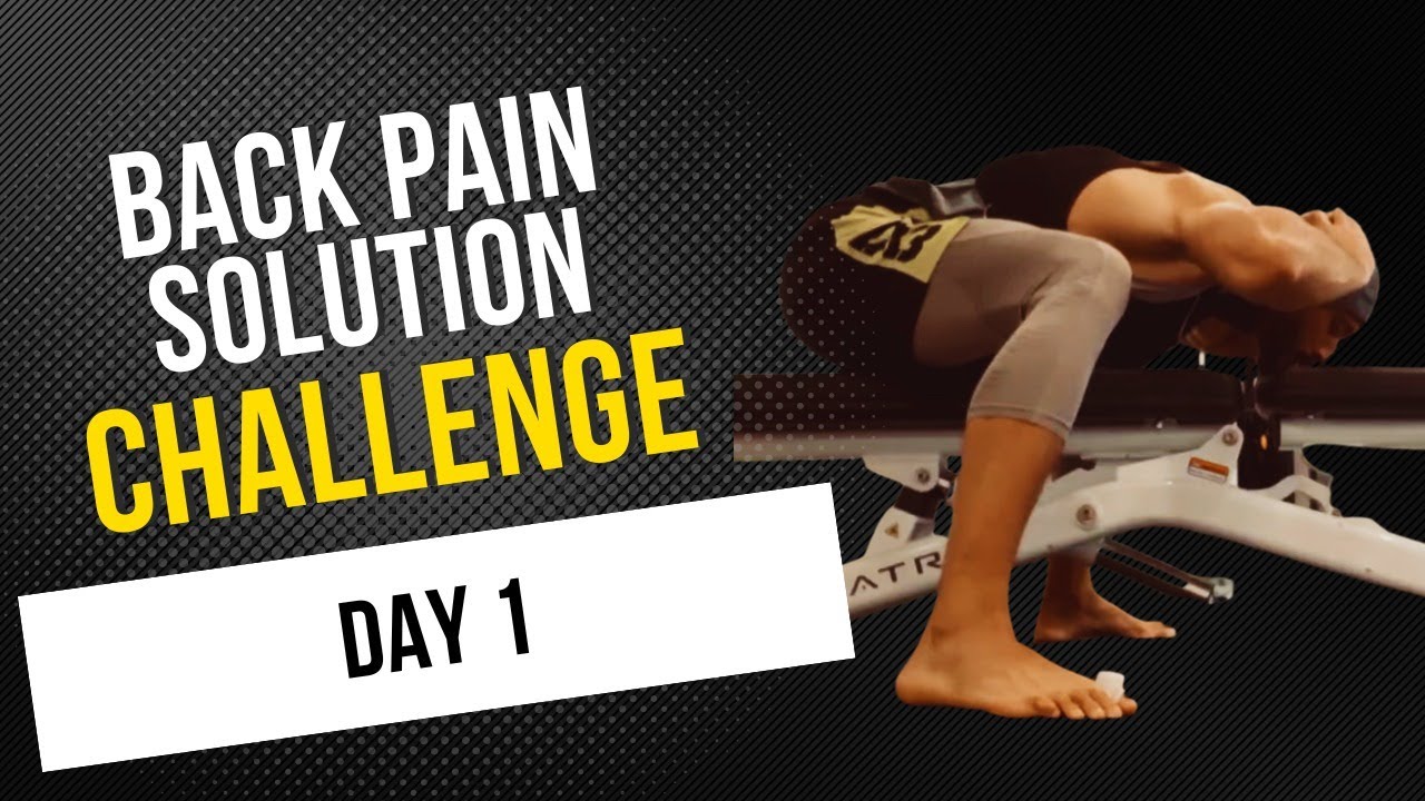 Back Pain Solution Challenge - Day 1: Understanding Your Back Pain and Correct Movements