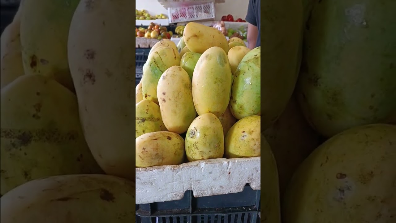 OTRO VIDEO MAS 