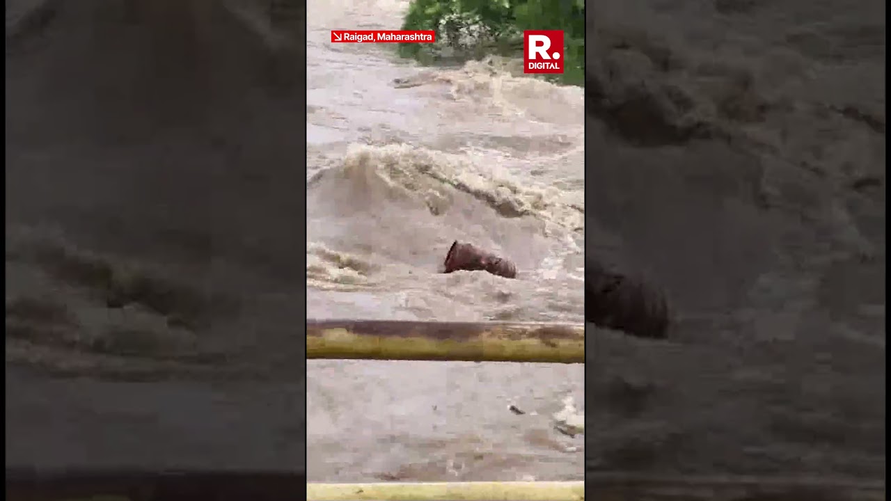 3000 LPG Cylinders Float In Maharashtra River After Torrential Rain Floods Godown | Raigad