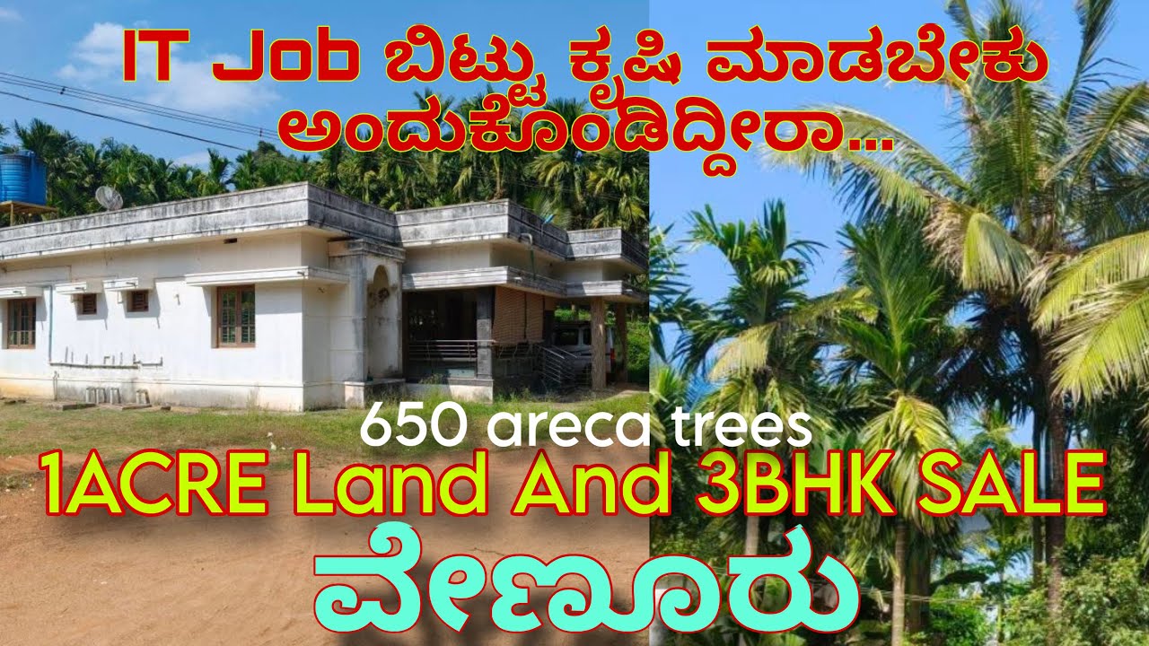 Agriculture Land with 3BHK House 🏠 ( Venoor ) | Agriculture land and 3BHK house for sale in Venoor&hellip;