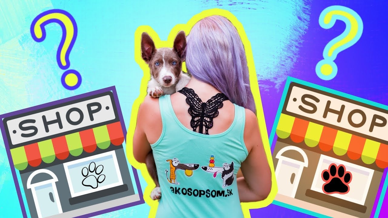 N&aacute;kupy pre PSA | čo kupujem pre svojich psov?
