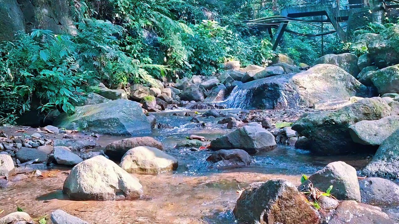 Forest River Flow for Sleep Healing