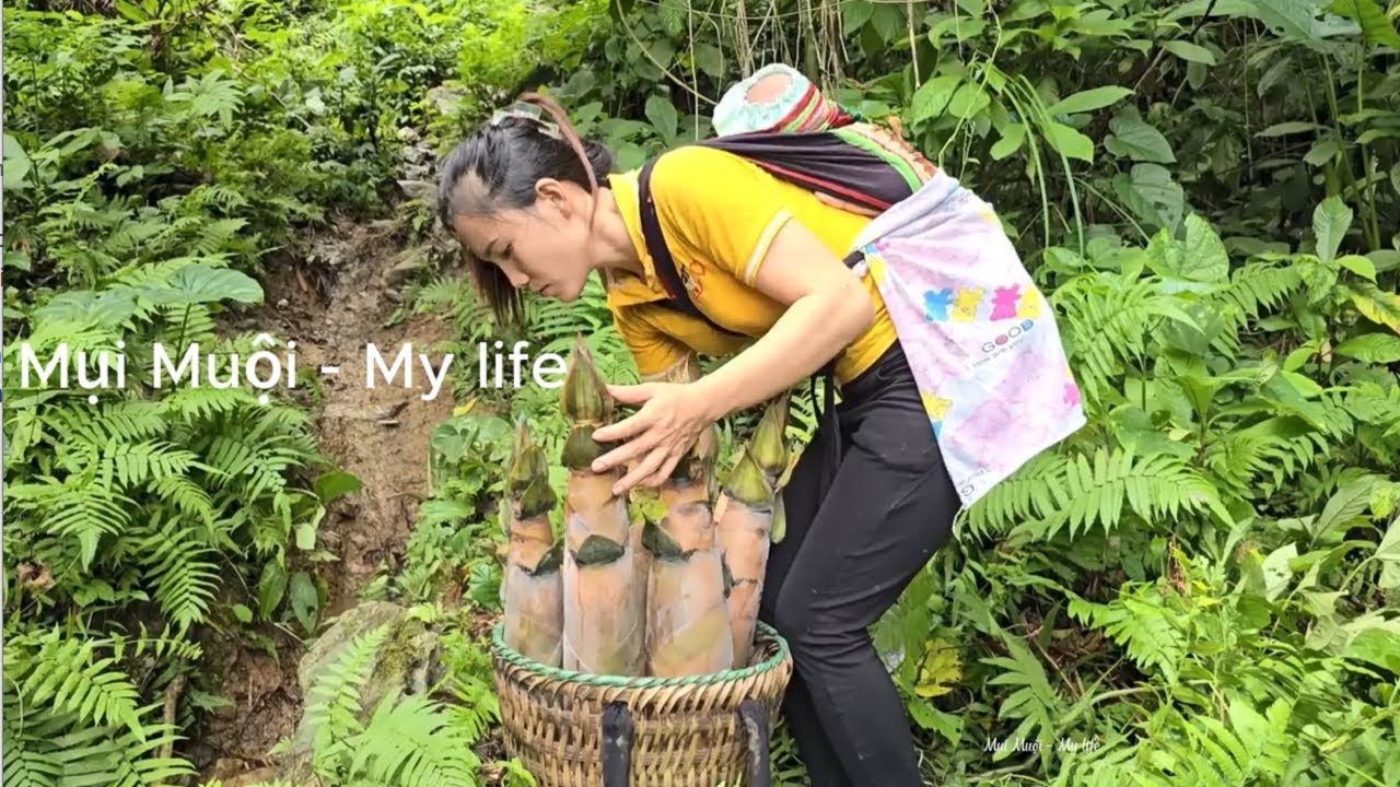 Single mother Harvest giant bamboo shoots to sell at the market.Daily life with son - Mui Muoi