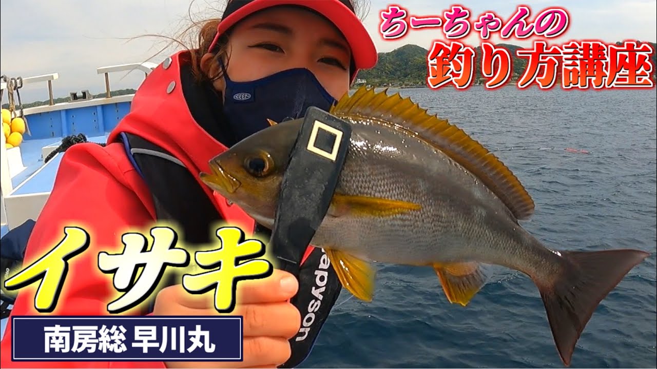 【イサキ釣り】『イサキの釣り方講座』今が旬!!良型イサキ連発!!春の風物詩イサキを釣る【早川丸】【千葉県館山市洲崎】