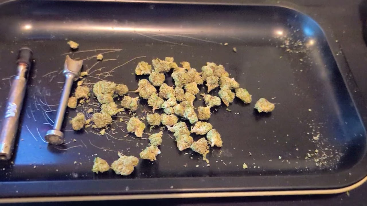Hella Slumped Smalls (BaySmokes) Pink Runtz Review.